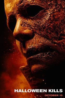 大良seo优化平台